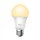TP-LINK | Tapo L510E | Smart Wi-Fi Light Bulb